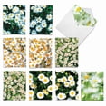thumbnail image 1 of 10 All Occasion Blank Note Cards Assorted (4 x 5.12 Inch) - OOPSY DAISIES, 1 of 6