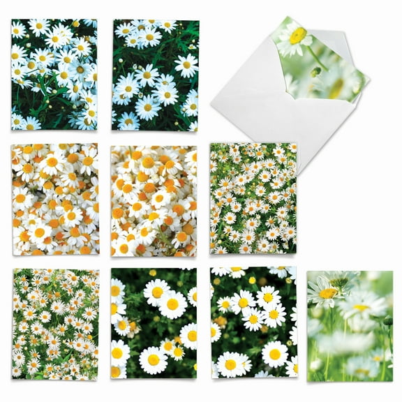 10 All Occasion Blank Note Cards Assorted (4 x 5.12 Inch) - OOPSY DAISIES
