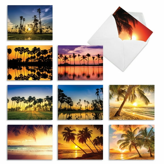 The Best Card Company - Box of 10 All Occasion Cards Blank (4 x 5.12 Inch) - Scenic Landscape Cards Assorted - Palm Beaches M6457OCB-NB
