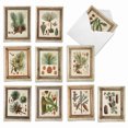 thumbnail image 1 of 10 All Occasion Blank Note Cards Assorted (4 x 5.12 Inch) - PINING FOR YOU M6462OCB, 1 of 6