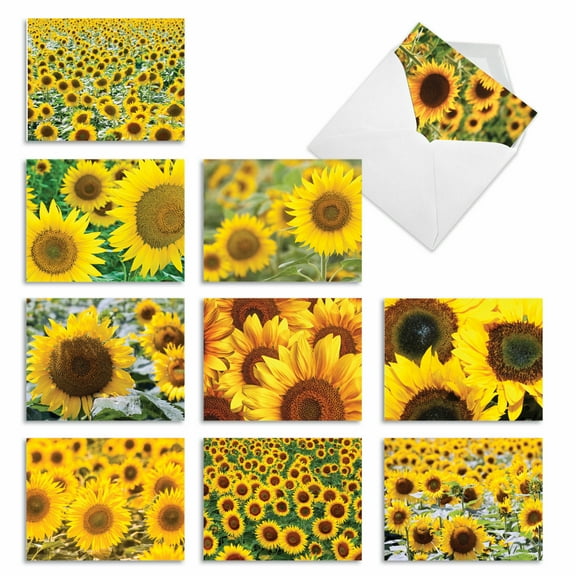 10 All Occasion Blank Note Cards Assorted (4 x 5.12 Inch) - SUNNY SIDE UP M6042