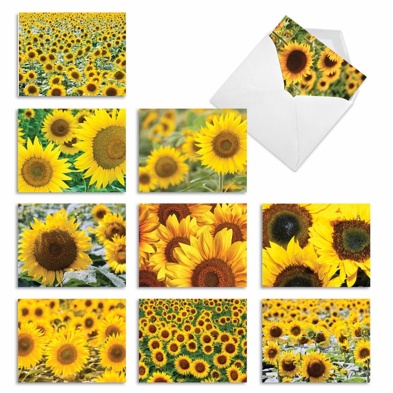 All Occasion Cards Box | Assorted Designs for Any Event