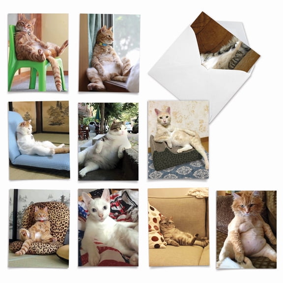 The Best Card Company 10 Assorted Blank Notes Pack Set 4x5.12 w/ Envelopes, 10x1 Designs, For Men, Women, Sitting Pretty Kitties M4613OCB-B1x10