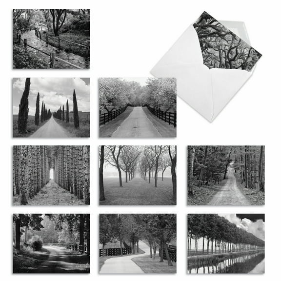 10 All Occasion Blank Note Cards Assorted (4 x 5.12 Inch) - TREE LINES M3313