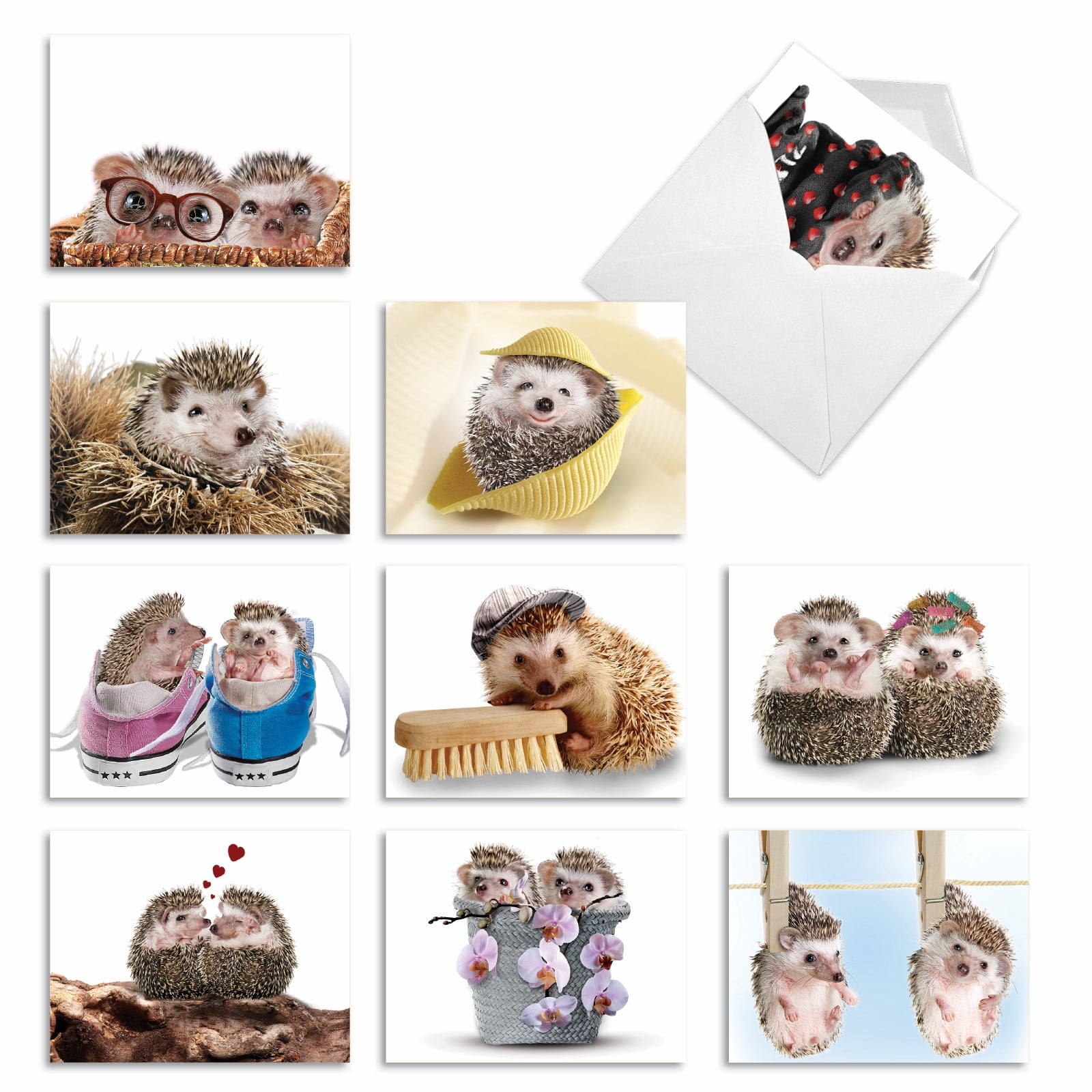 10 All Occasion Blank Note Cards Boxed (4 x 5.12 Inch) - Painted Petals ...