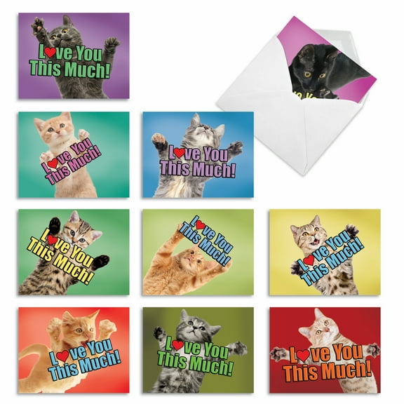 10 All Occasion Blank Note Cards Pack (4 x 5.12 Inch) - CAT LOVE YOU THIS MUCH M6610OCB