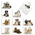 thumbnail image 1 of 10 All Occasion Blank Note Cards Pack (4 x 5.12 Inch) - COPY CATS M6596OCB, 1 of 6