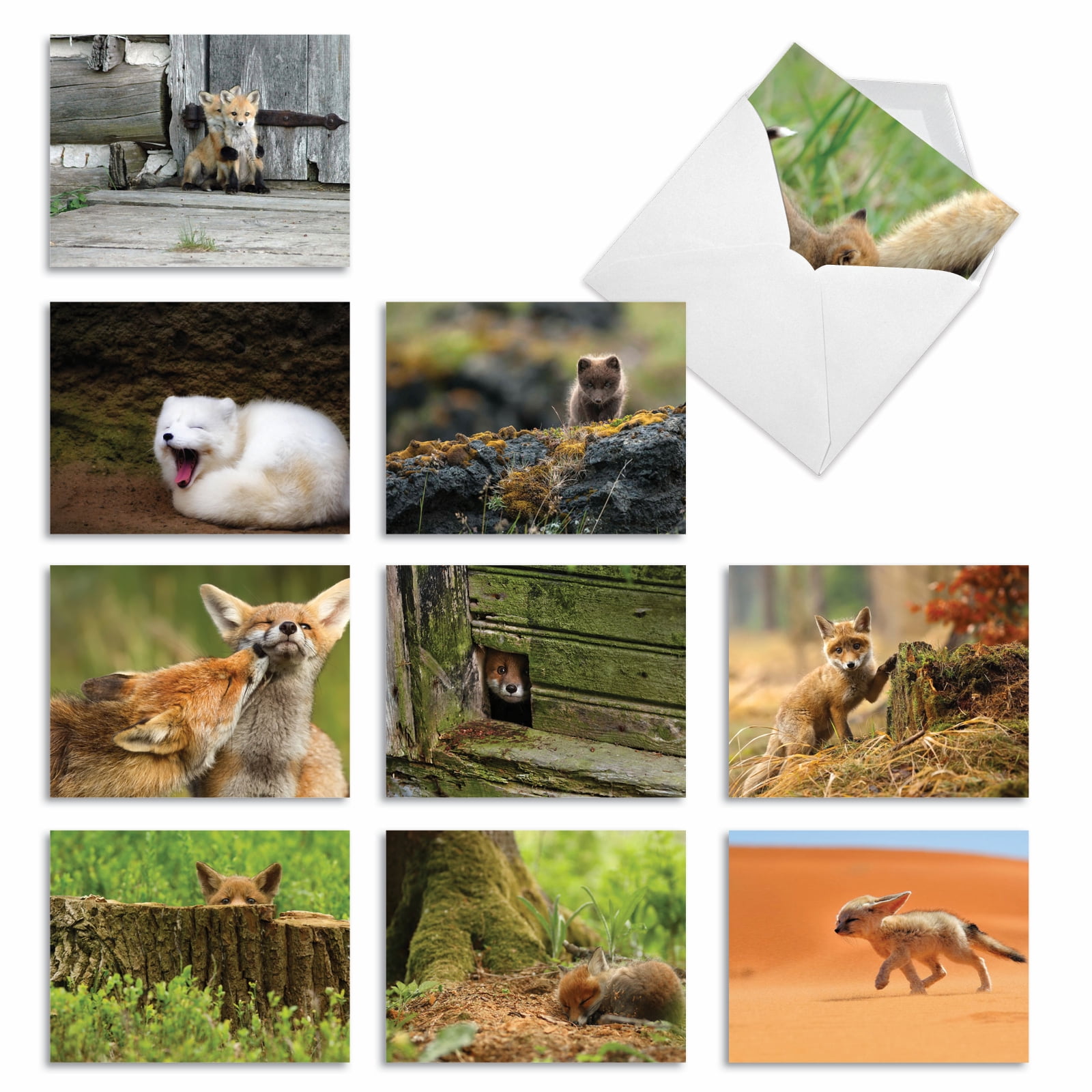 10 All Occasion Blank Note Cards Pack (4 x 5.12 Inch) - LITTLE FOXES ...