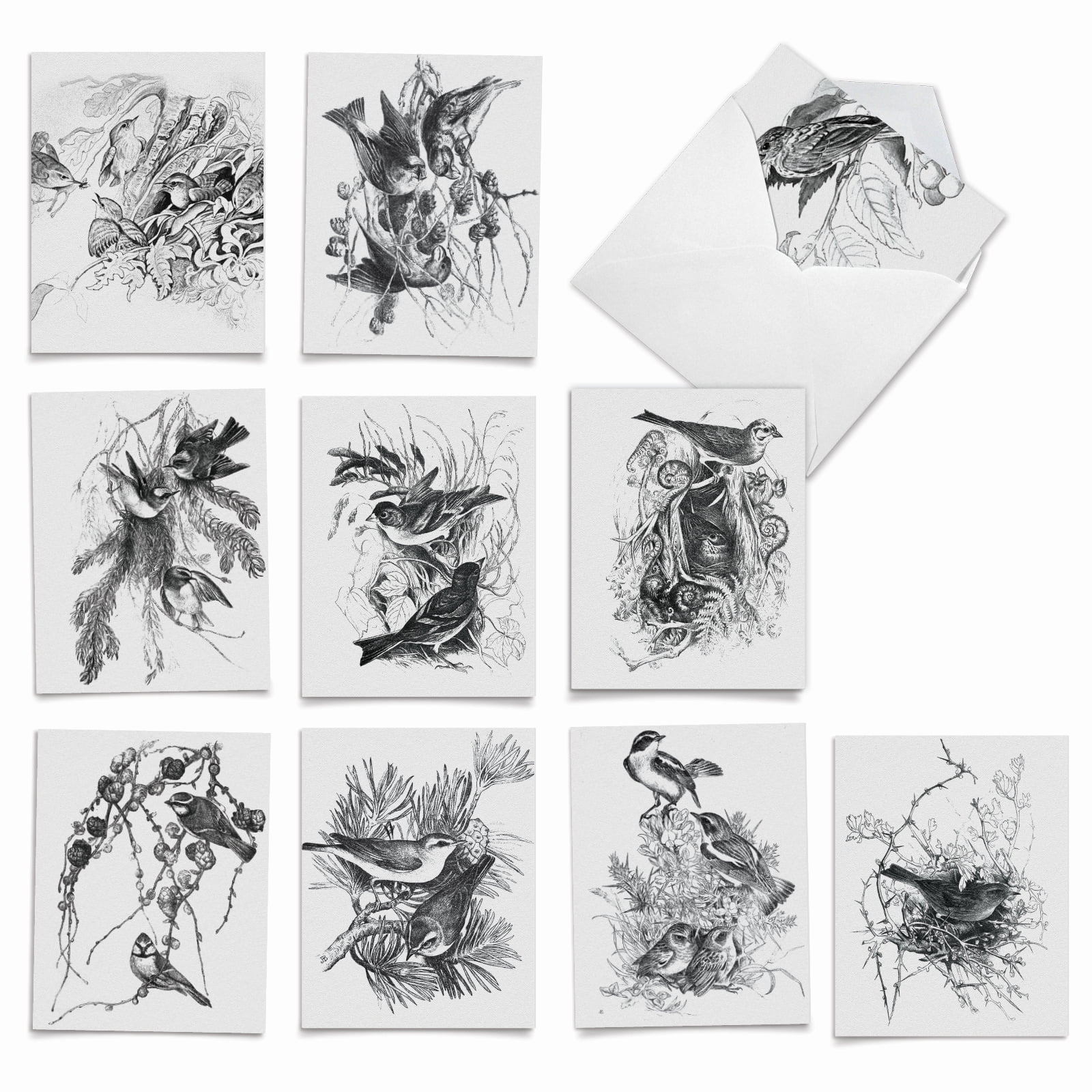 10 All Occasion Blank Note Cards Pack (4 x 5.12 Inch) - WING NOTES ...