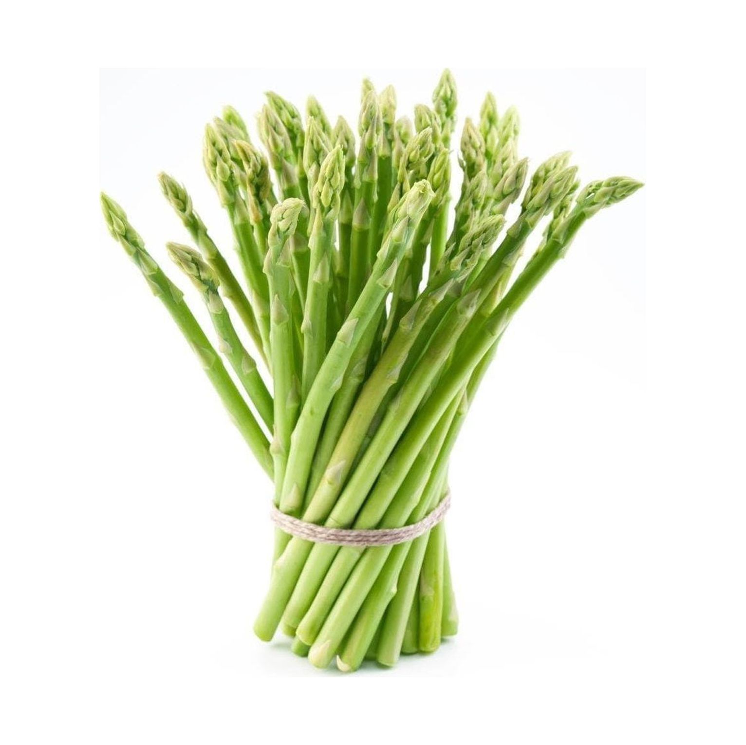 10 Asparagus Plants Bare root Non GMO 2year old Asparagus Plants
