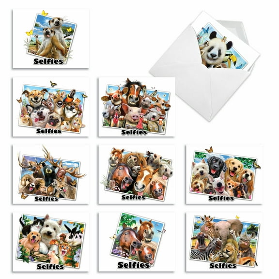 The Best Card Company 10 Assorted Funny Blank All Occasions Notes Set 4x5.12 w/ Envelopes, 10x1 Designs, for Men, Women, Note to Selfie M6642OCB