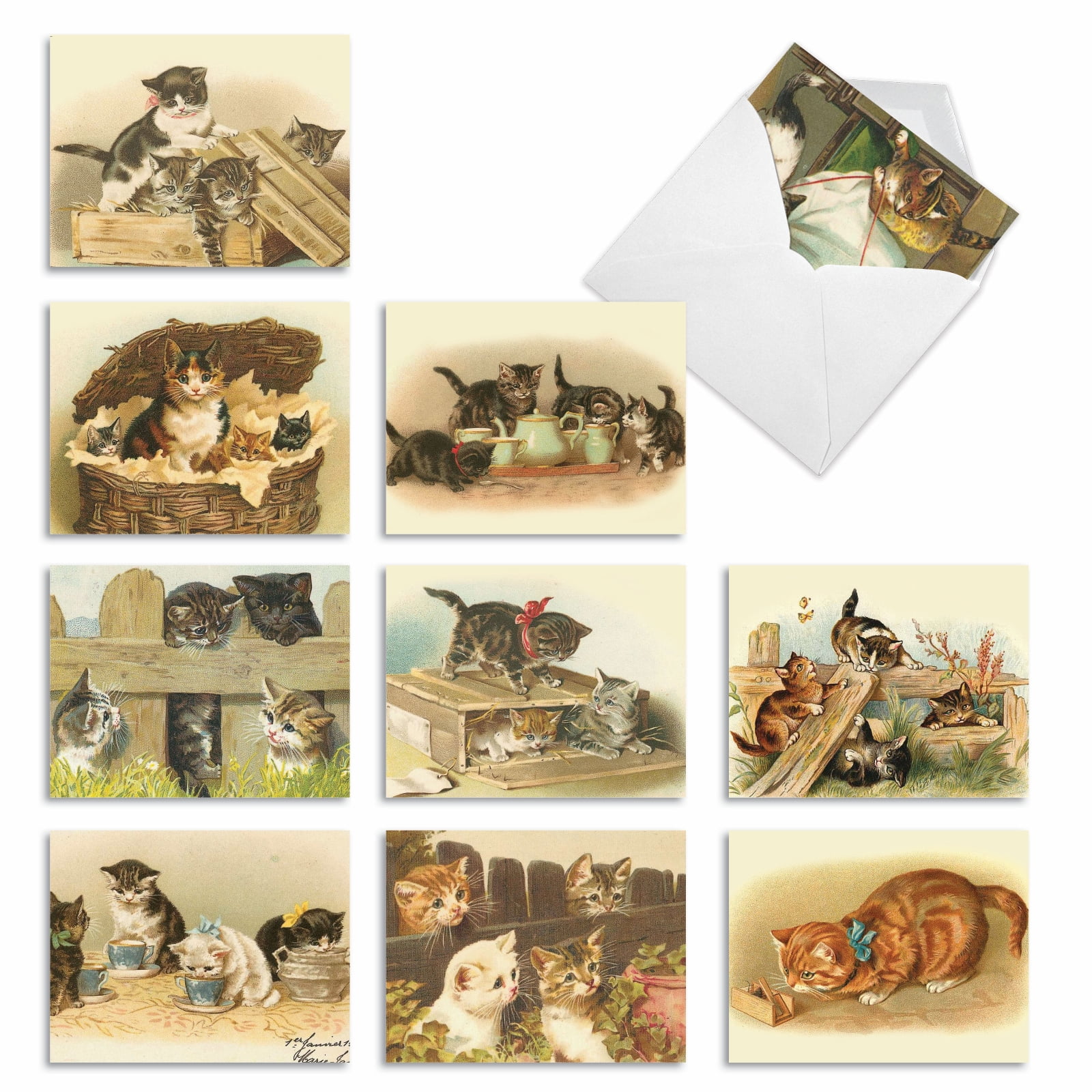 10 Assorted All Occasion Blank Note Cards with Envelopes (4 x 5.12 Inch ...
