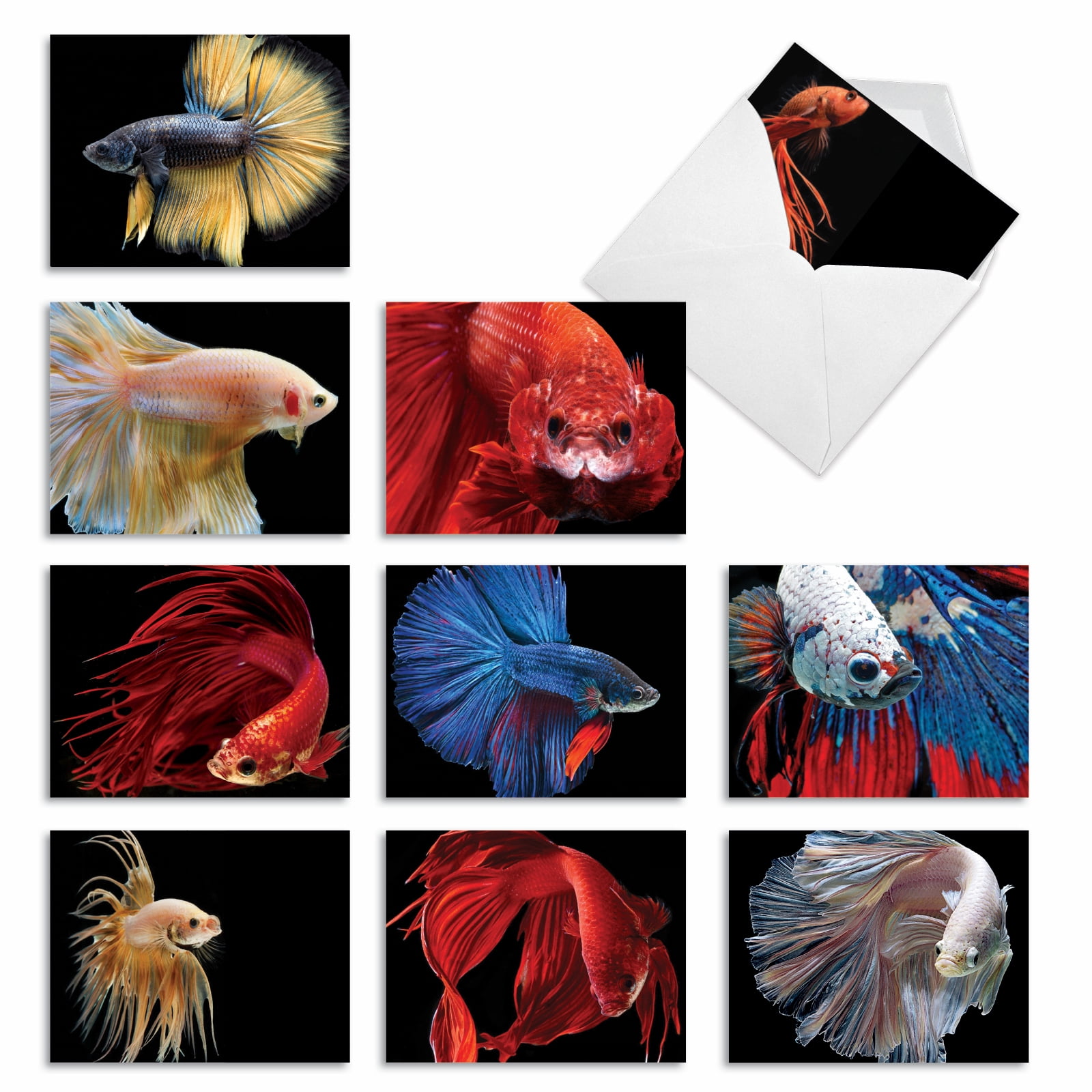 10 Assorted All Occasion Blank Note Cards with Envelopes (4 x 5.12 Inch ...