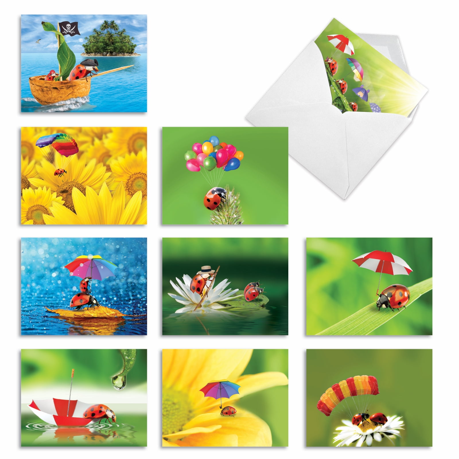 NobleWorks, 10 Assorted Blank Note Cards with Envelopes, 4 x 5.12 Inch ...