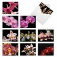thumbnail image 1 of 10 Assorted All Occasion Blank Note Cards with Envelopes (4 x 5.12 Inch) - ORCHID NIGHTS M1734BN, 1 of 6