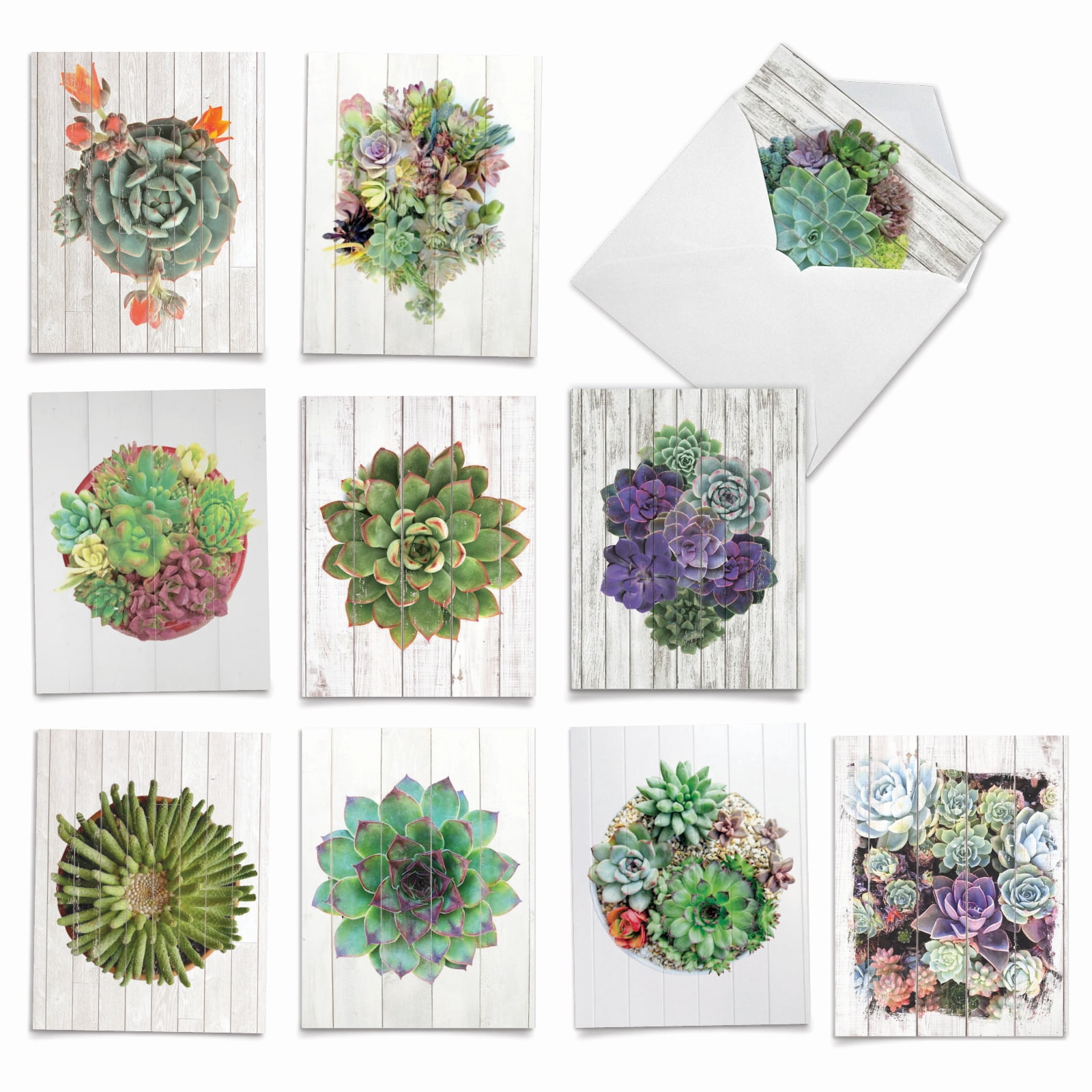 10 Assorted All Occasion Blank Note Cards with Envelopes (4 x 5.12 Inch ...