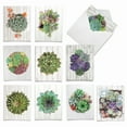 thumbnail image 1 of 10 Assorted All Occasion Blank Note Cards with Envelopes (4 x 5.12 Inch) - Shiplap Succulents, 1 of 6
