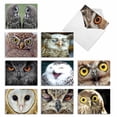thumbnail image 1 of 10 Assorted All Occasion Blank Note Cards with Envelopes (4 x 5.12 Inch) - WHAT A HOOT M1769BN, 1 of 6