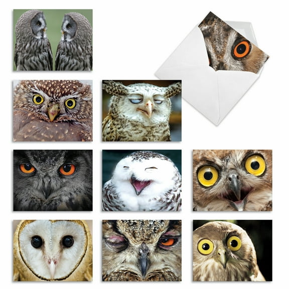 10 Assorted All Occasion Blank Note Cards with Envelopes (4 x 5.12 Inch) - WHAT A HOOT M1769BN