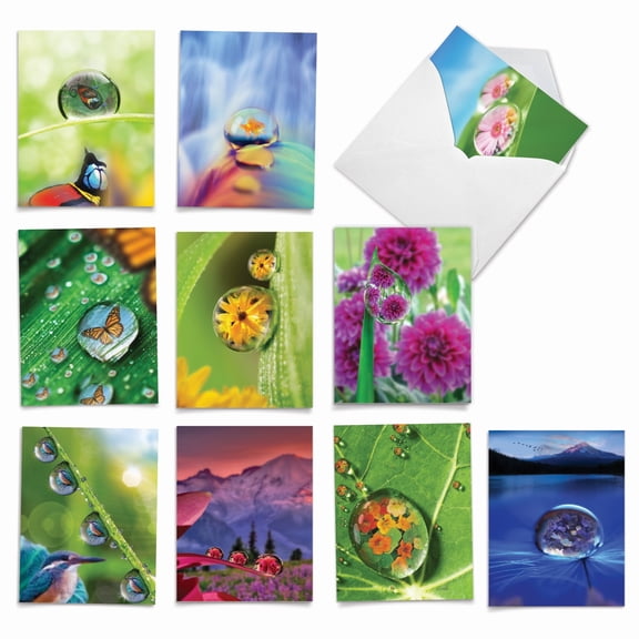 The Best Card Company 10 Assorted Blank Notes Pack Set 4x5.12 w/ Envelopes, 10x1 Designs, For Men, Women, Waterdrop Beauty AM6111OCB-B1x10