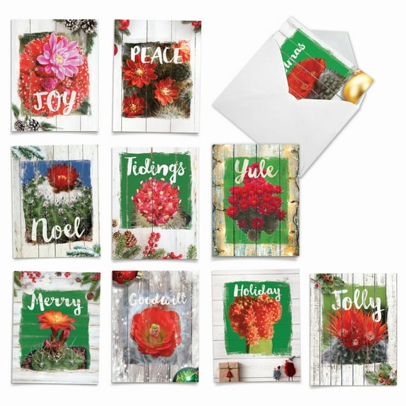 10 Assorted Merry Christmas Note Cards with Envelopes (4 x 5.12 Inch) - Flowering Christmas Cactus