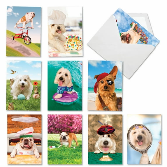 10 Assorted Set Funny Birthday Greeting Cards - Shaggy Dogs - Funny Canines in Various Activities