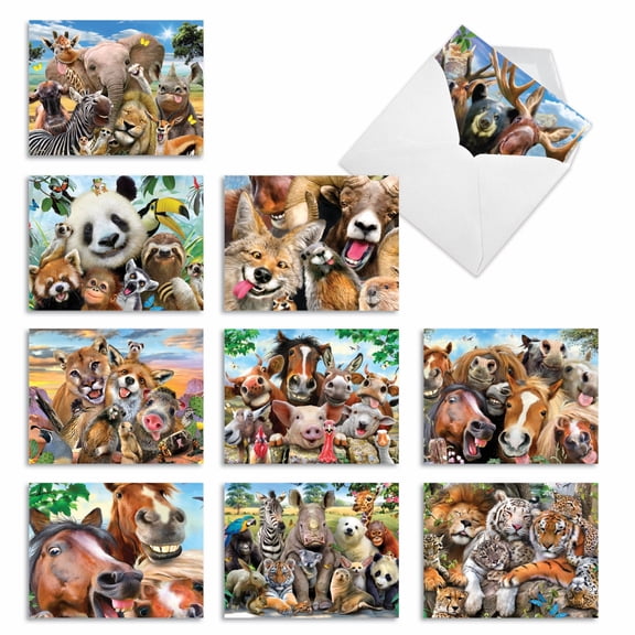 The Best Card Company 10 Assorted Funny Thank You Notes Set 4x5.12 w/ Envelopes, 10x1 Designs, for Men, Women, Here's Looking at Zoo M6639TYG