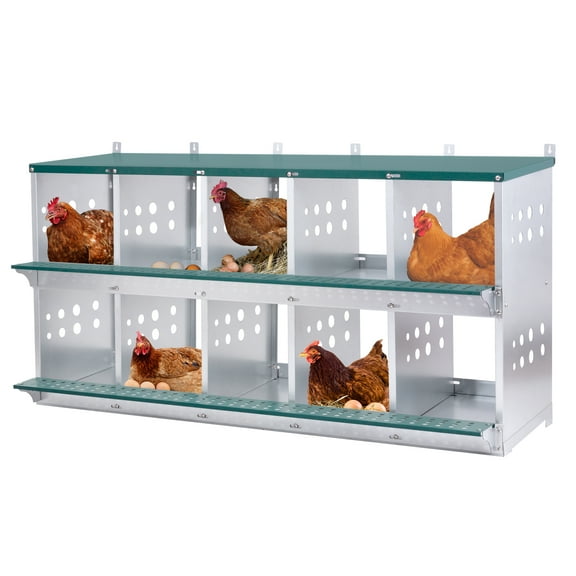 10-Bay Wall Mount Metal Nest Box for Hens & Ducks, Easy Egg Collection, Galvanized Steel
