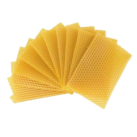 10 Bee Hive Wax Frames Beeswax Foundation for Honeycomb Sheet Beekeep New E2 P4K2