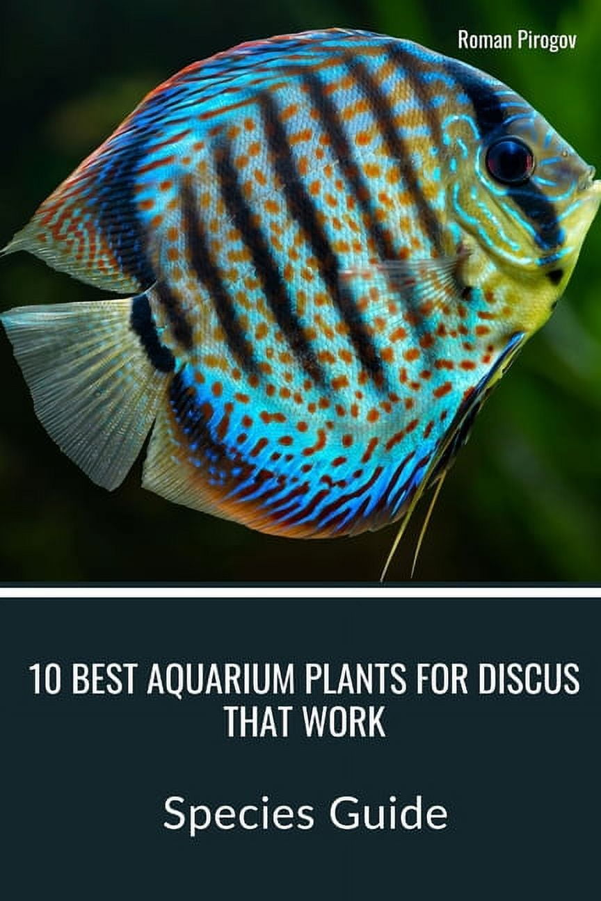Discus Mart 10 Best Aquarium Plants for Discus that Work: Species Guide (Paperback ...