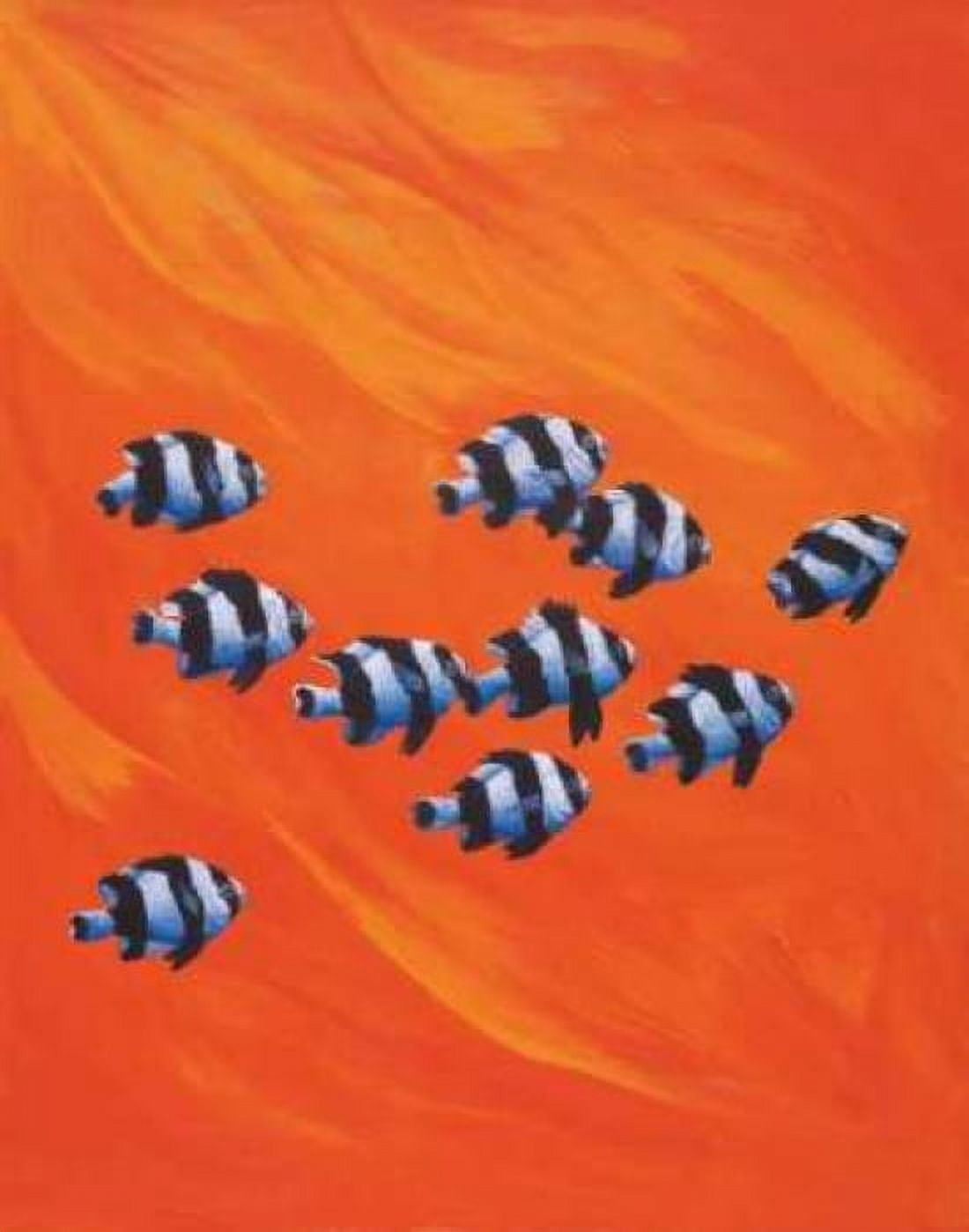 10 Black-Tailed Humbugs Canvas Art - Keith Siddle (22 x 28)