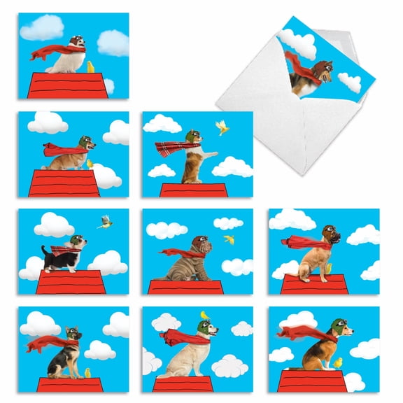 The Best Card Company 10 Assorted Blank All Occasions Notes Set 4x5.12 w/ Envelopes, 10x1 Designs, for Men, Women, Comical Canines M2350OCB