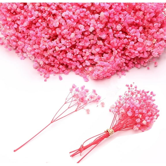 10 Bouquet Mini Dried Baby's Breath Flowers,Bexikou 5.12inch Pink Natural Dried Pressed Flowers,Pink Dried Flowers for DIY Wedding Wreath Card Making Table Vase Gift Home Decor Valentines
