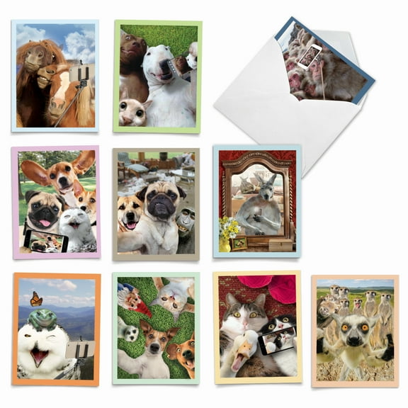 The Best Card Company 10 Assorted Blank All Occasions Notes Set 4x5.12 w/ Envelopes, 10x1 Designs, For Men, Women, Animal Selfies M2373OCB