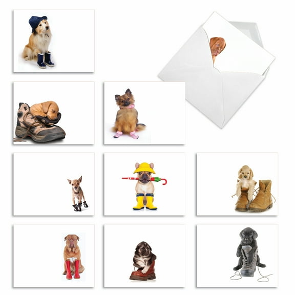 10 Bulk All Occasion Blank Cards with Envelopes (4 x 5.12 Inch) - THESE BOOTS ARE MADE FOR PUPPIES M2980OCB