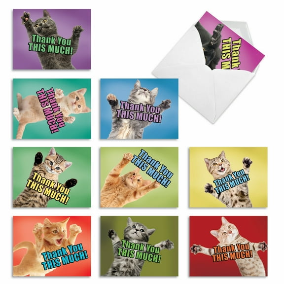 10 Bulk Thank You Gratitude Cards with Envelopes (4 x 5.12 Inch) - CAT BIG THANKS M2368TYB