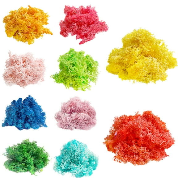 10 Colors Preserved Moss Railroad Scenery Forest Ground Cover Static Grass Artificial Moss for Potted Plants, Craft Decorative Moss Decor for Wall Art