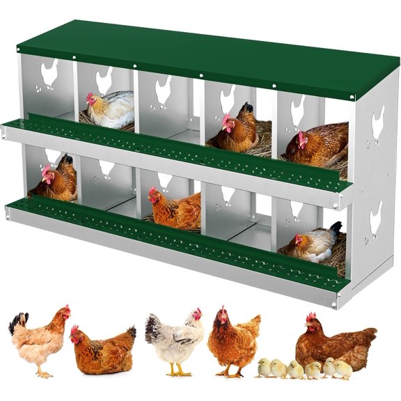 10-Compartment Chicken Nesting Box Galvanized Steel Roll Away Egg Box for Hens Green