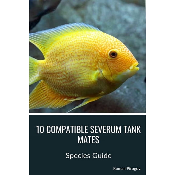 10 Compatible Severum Tank Mates: Species Guide (Paperback)