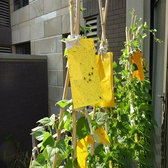 10 Count Dual Yellow Sticky Traps for Flying Plant Insect Like Fungus Gnats, Aphids, Whiteflies, Leafminers