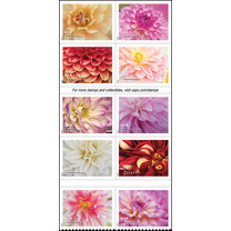 10 Dahlias USPS Forever Postage Stamp US First Class Celebrate Flower Announcement Wedding Holiday (10 Stamps)