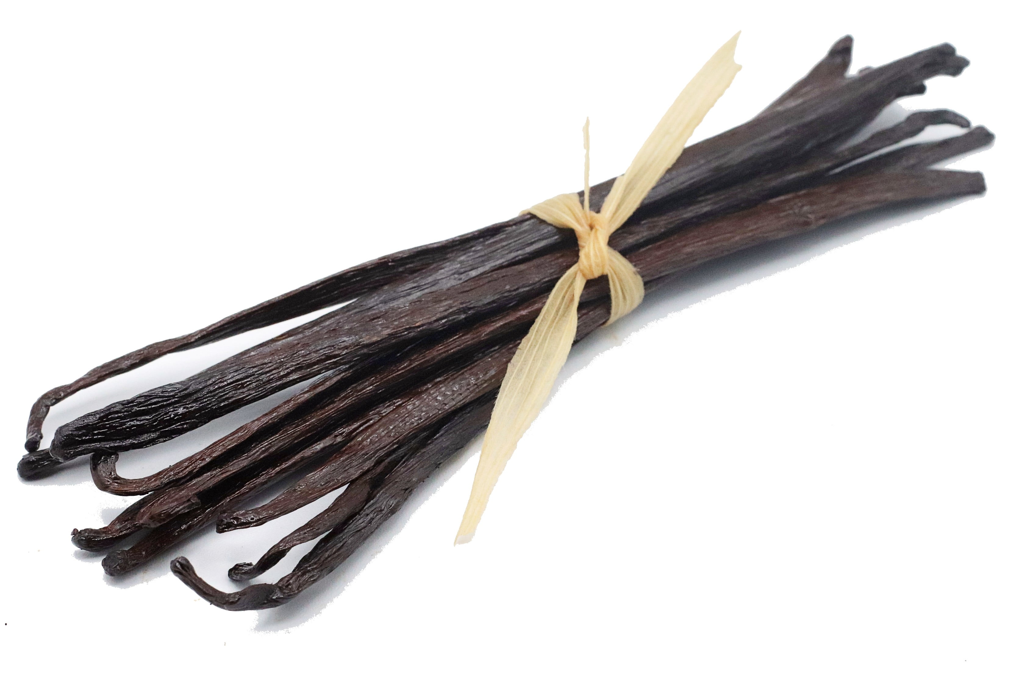 10 Extract Grade Mexican Vanilla Beans - Voladores Vanilla