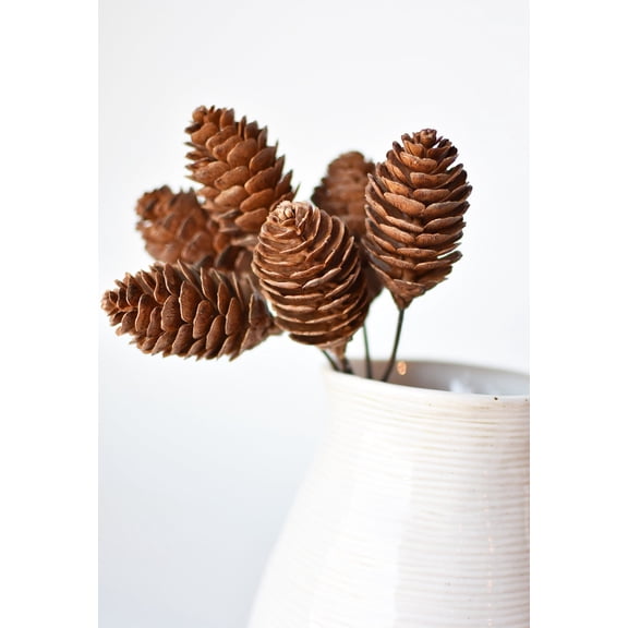 10" Faux Pinecone Stem Bundle