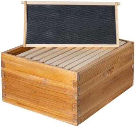 10 Frame Bee Hive Box, Langstoth Deep Brood Bee Box Dipped in Beeswax ...