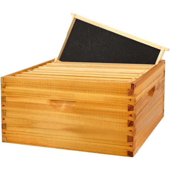 10 Frame Bee Hive Box, Langstroth Deep Brood Bee Box Dipped in 100% Beeswax Include Beehive Frames and Waxed Foundation Sheets (Unassembled)