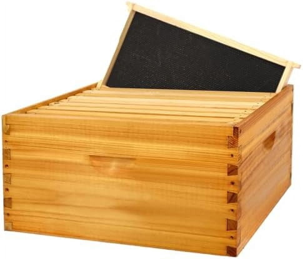 10 Frame Bee Hive Box, Langstroth Deep Brood Bee Box Dipped in 100% ...
