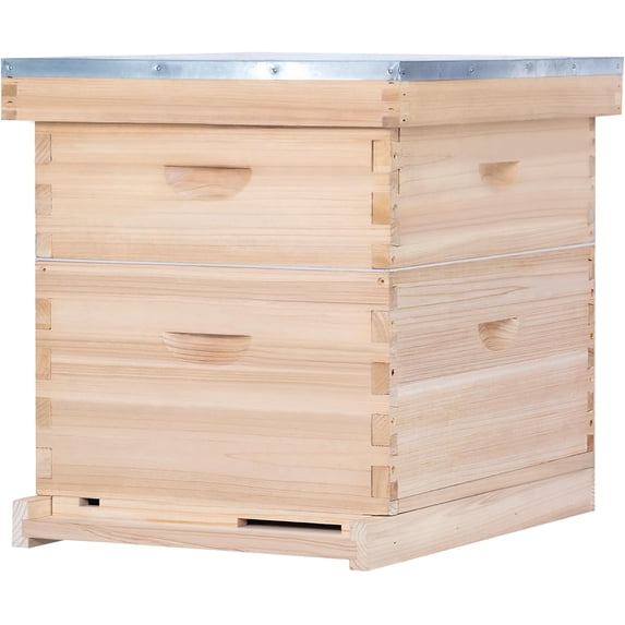 10 Frame Bee Hive, Compelte Bee Hive Starter Kit Includes 1 Deep Brood Honey Bee Hives Box, 1 Medium Super Bee Box with Beehive Frames and Foundation Sheets
