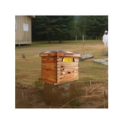 10-Frame Bee Hive Starter Kit For Beekeepers Dipped In 100% Beeswax Includes 1 Deep Box And 1 Medium Bee Box With Acrylic Window, Beehives Frames And Wax Foundations For Beginner Beekeepers