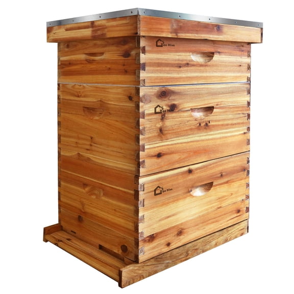 10-Frame Bee Hive Starter Kit for Beekeepers Dipped In 100% Beeswax Includes 2 Deep Box and 1 Medium Bee Box with Beehives Frames and Wax Foundations for Beginner Beekeepers