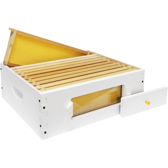 10 Frame Beehive Middle Box Super Bee Box Painted for Sale Bee Hives with Windows